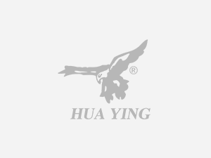 重要聲明
